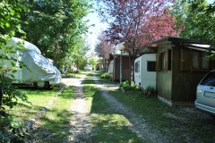 viale-22-camping-club-cerbaro